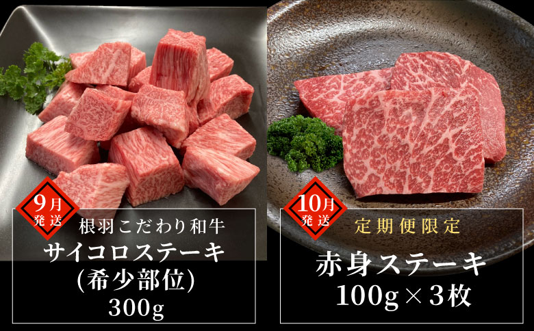 毎年大好評★【全10回 定期便】PREMIUM定期便限定★シャトーブリアン 赤身ステーキ入り プレミアム 数量限定