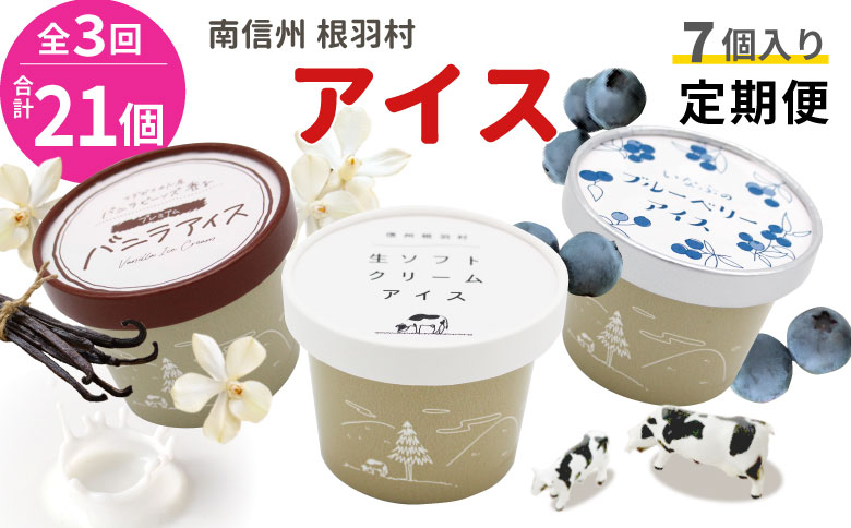 全3回★3種類のアイス定期便☆2026年1月発送～ 南信州根羽村産アイス が毎月7個届く！ 合計21個 アイス アイスクリーム 定期便 生ソフトクリームアイス バニラアイス ブルーベリー 果物 ジャム 長野県 根羽村 ソフトクリーム スイーツ 15000円 15,000円