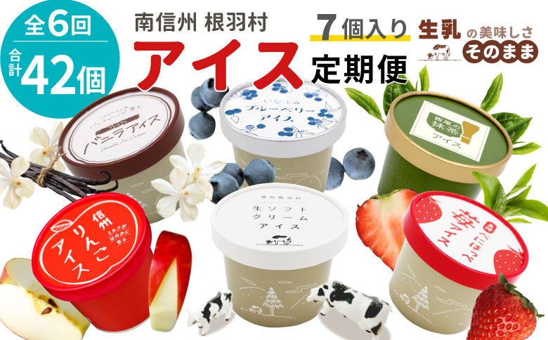 新フレーバー入り！全6回★全種類のアイスが届く！アイス定期便☆ 南信州根羽村産アイス が毎月7個届く！ 合計42個 アイスクリーム ソフトクリーム バニラ 西尾 いちご 紅ほっぺ いちご りんご ブルーベリー 抹茶 ミルク 30000円 30,000円