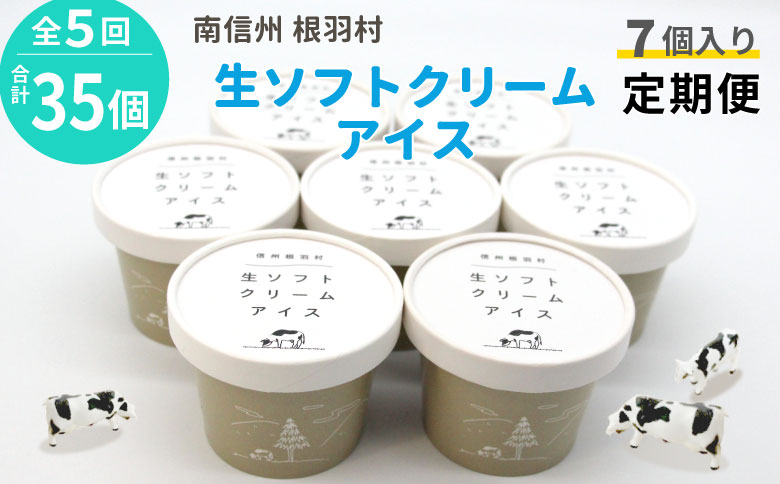 2ヵ月に1回お届け・全5回★2026年1月～発送★生乳の美味しさそのまま！生ソフトクリームアイス 合計35個届く 定期便 南信州根羽村産アイス アイスクリーム 牛乳 ミルク 25,000円 25000円