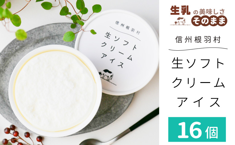 1日最高800個売れたソフトクリームを再現！生ソフトクリームアイス(80ml)×16個