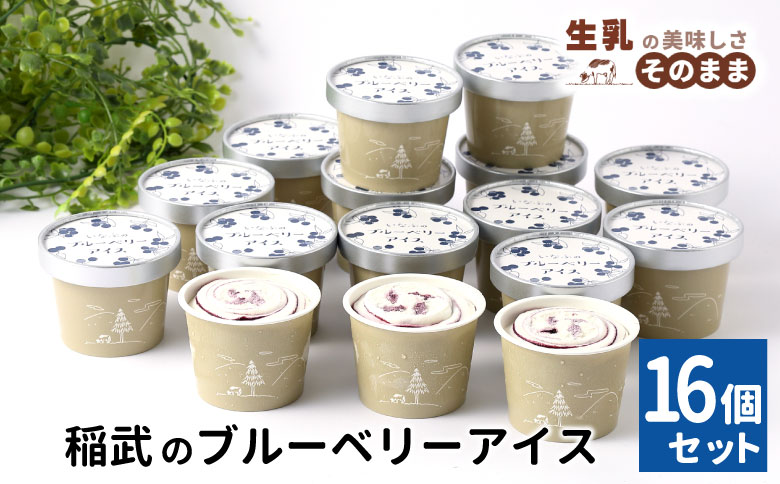 無農薬！皮ごと使用！30品種をブレンドした ブルーベリー アイス(80ml)×16個入り