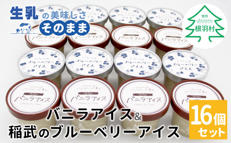  マダガスカル産バニラビーンズ香る❁バニラアイスクリーム & いなぶのブルーベリーアイス　(80ml)×16個セット
