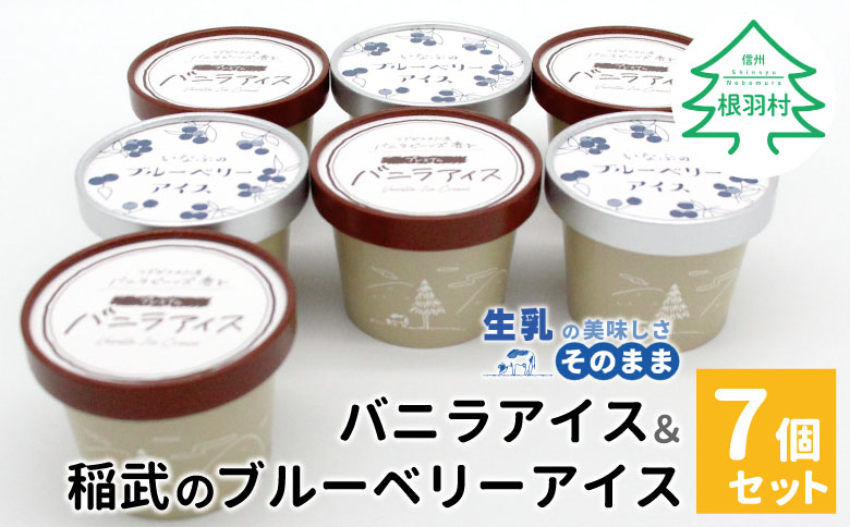 マダガスカル産バニラビーンズ香る❁バニラアイスクリーム & いなぶのブルーベリーアイス　(80ml)×7個セット