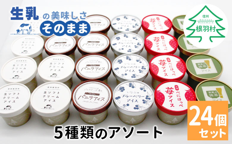 5種類のアソート A　24個入り アイスクリーム アイス 生ソフト バニラ マダガスカル産 ブルーベリー 稲武 紅ほっぺ 苺 いちご 紅ほっぺいちご 西尾抹茶 抹茶 牛乳 アイス ミルク 14000円 14,000円