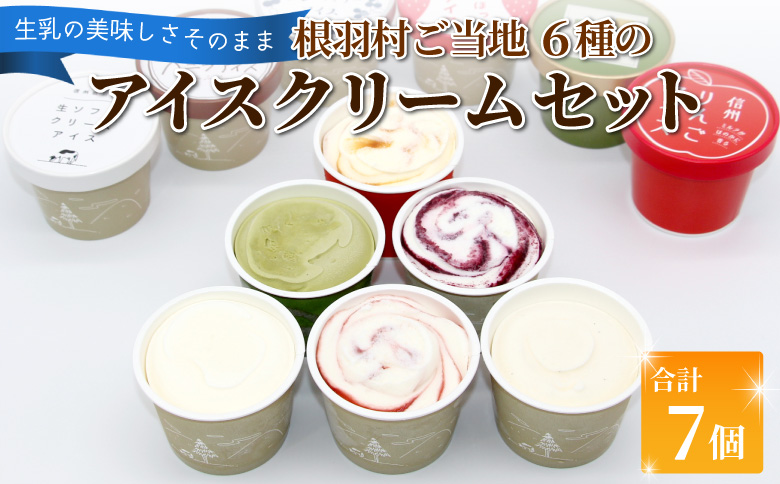 根羽村 ご当地６種のアイスクリームセット 7個 生ソフトクリームアイス バニラアイス 西尾抹茶 抹茶 りんご 紅ほっぺ いちご 苺アイス ブルーベリー フレーバー 詰め合わせ 5,000円