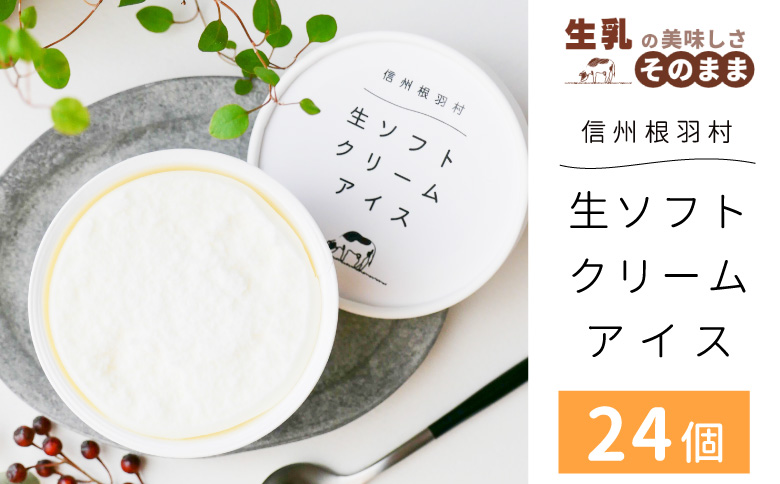 1日最高800個売れたソフトクリームを再現！生ソフトクリームアイス(80ml)×24個