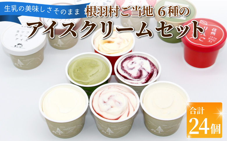 根羽村 ご当地６種のアイスクリームセット 24個 生ソフトクリームアイス バニラアイス 西尾抹茶 抹茶 りんご 紅ほっぺ いちご 苺アイス ブルーベリー フレーバー 詰め合わせ 13,000円