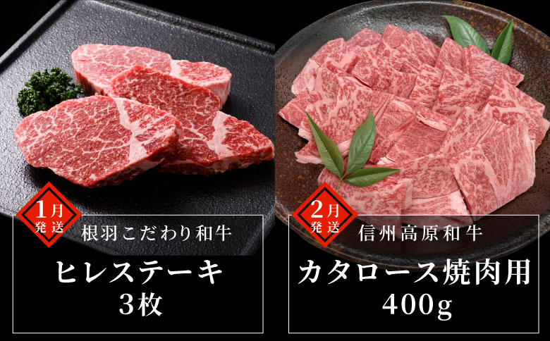 毎年大好評★【全10回 定期便】PREMIUM定期便限定★シャトーブリアン 赤身ステーキ入り プレミアム 数量限定