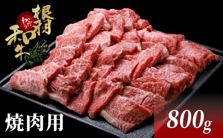国産黒毛和牛 焼肉 盛り合わせ モモ バラ 800g(400g×2)根羽こだわり和牛 焼肉用 BBQ 和牛 バーベキュー 焼肉セット
