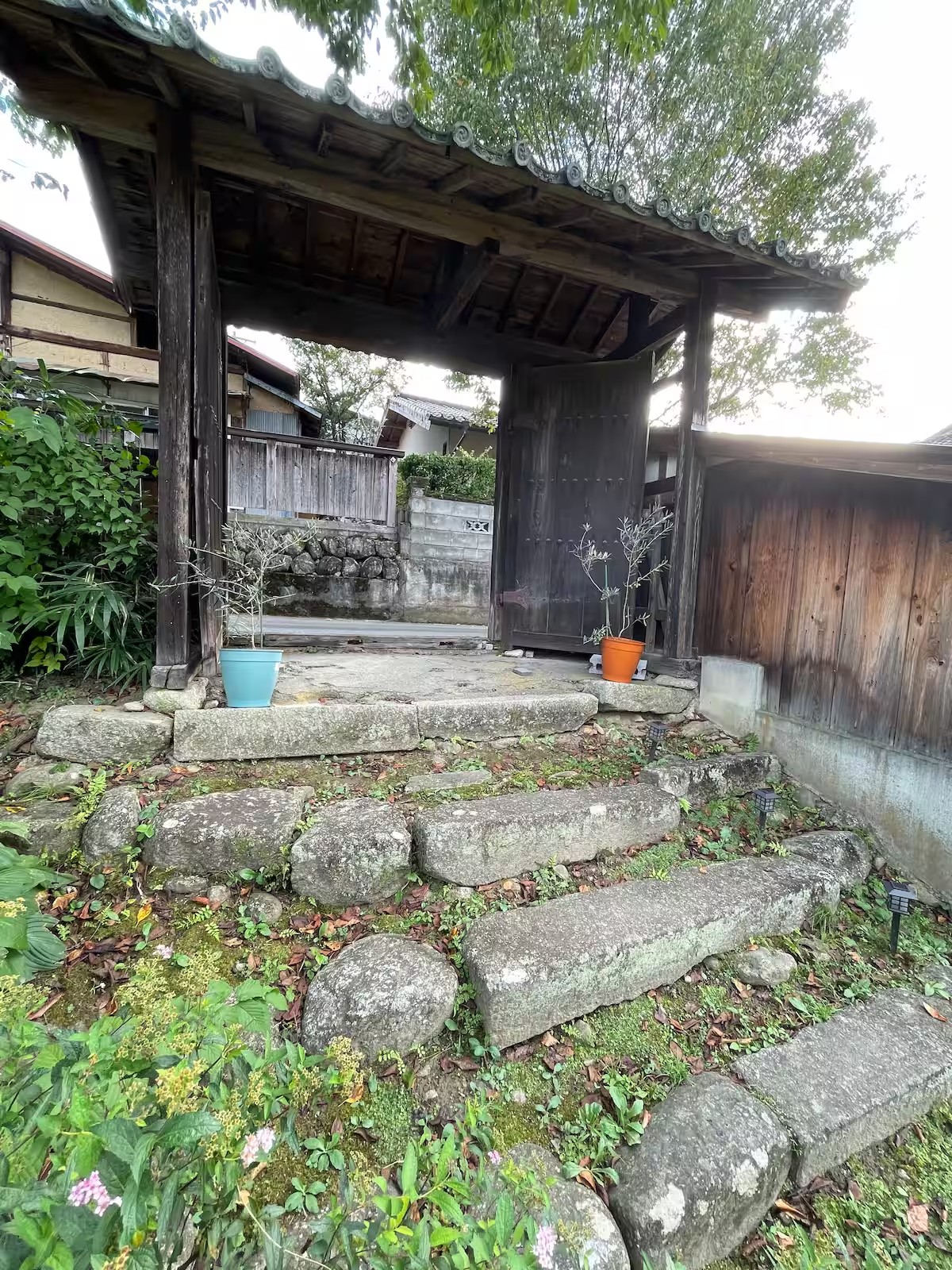 趣を感じる門構えがお出迎えします。