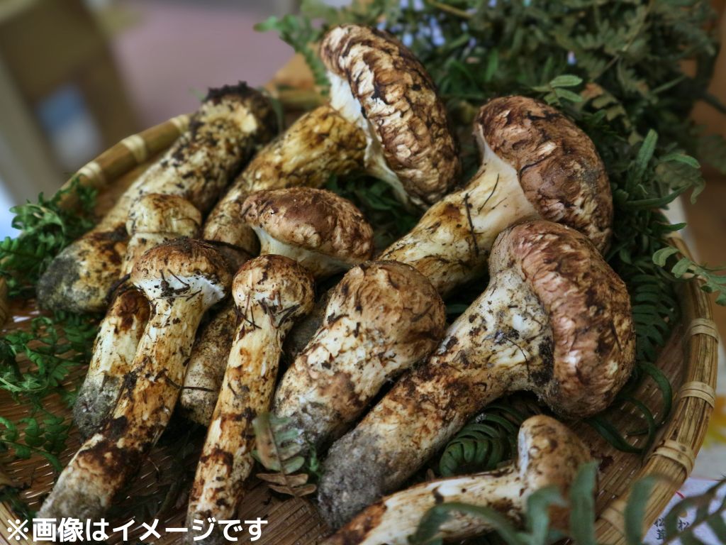 写真はイメージです。