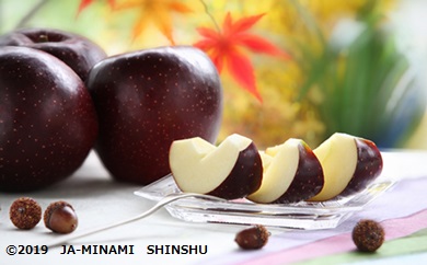 りんごリレープラス１（りんご3兄弟 + サンふじ小玉）