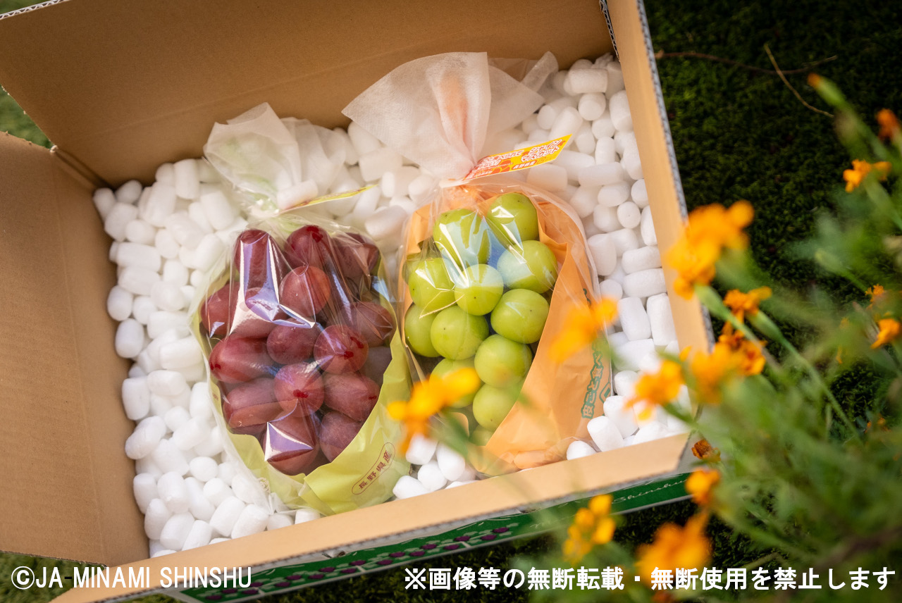 クイーンルージュ®＆シャインマスカット 秀品 約1.2kg (各1房)