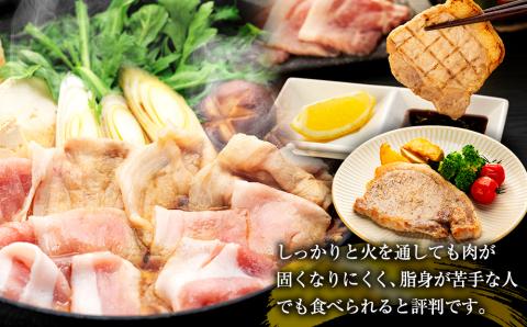 南信州くりん豚　バラエティセット