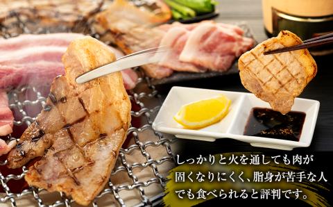 南信州くりん豚焼肉セット