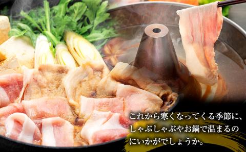 南信州くりん豚すき・しゃぶセット