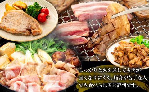 南信州くりん豚まんぷくセット