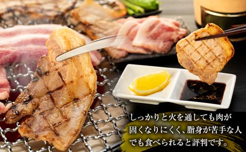 南信州くりん豚もりもり焼肉セット