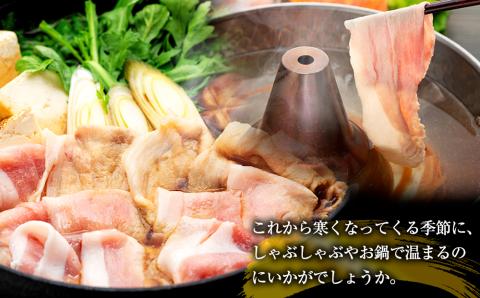 南信州くりん豚もりもりすき・しゃぶセット