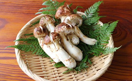 写真はイメージです。