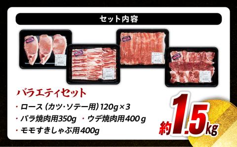 南信州くりん豚　バラエティセット