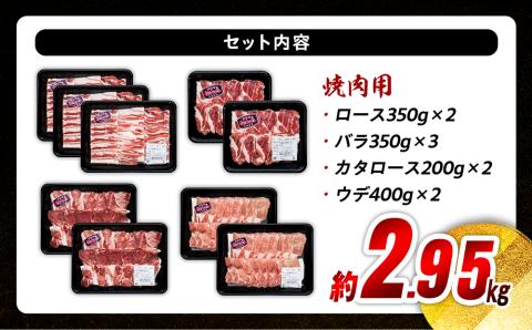 南信州くりん豚もりもり焼肉セット