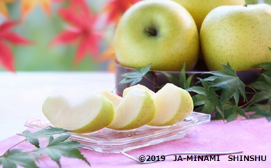 りんごリレープラス１（りんご3兄弟 + サンふじ小玉）