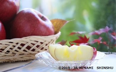 りんごリレープラス１（りんご3兄弟 + サンふじ小玉）