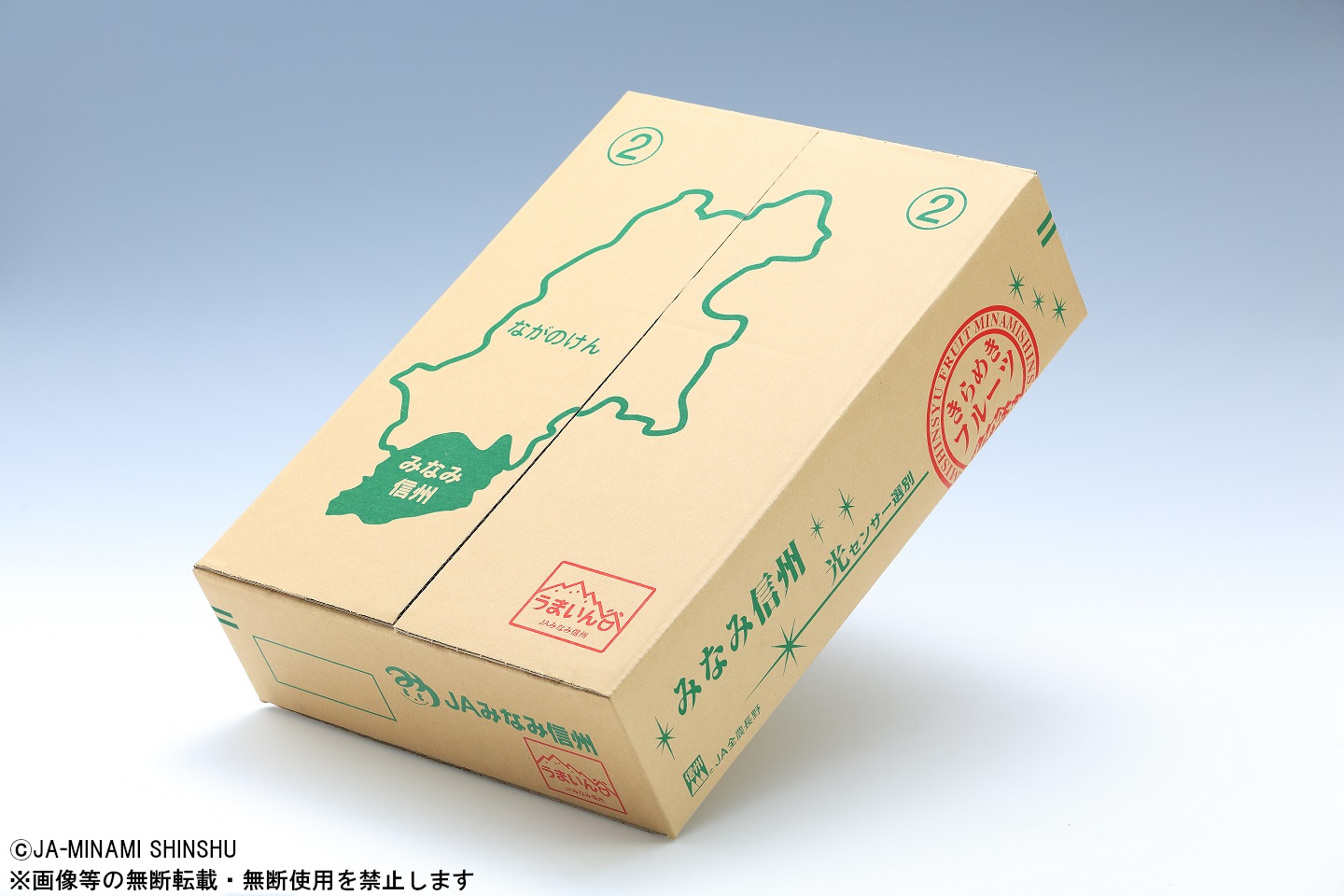 【南信州産】20世紀梨 太鼓判 約5kg　10玉～16玉 5kg