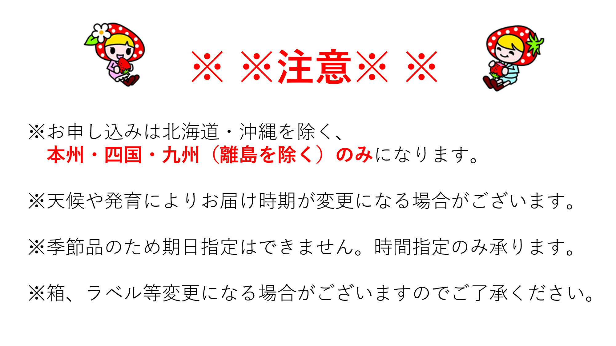 喬木産　大粒いちご2箱 2箱