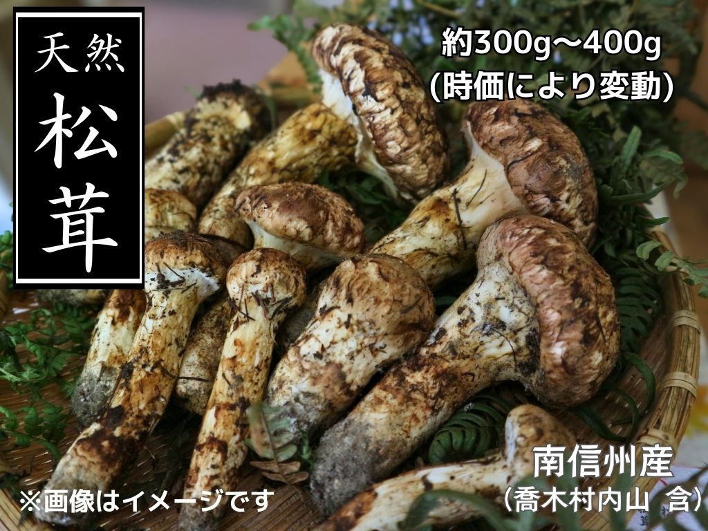 写真はイメージです。