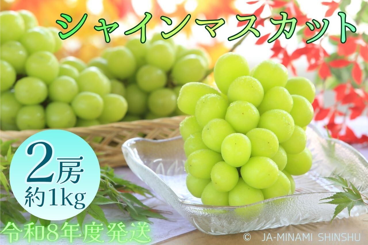 シャインマスカット 秀品 約1kg(2房)