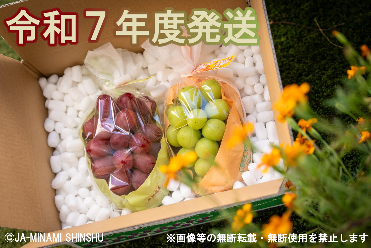 クイーンルージュ®＆シャインマスカット 秀品 約1.2kg (各1房)