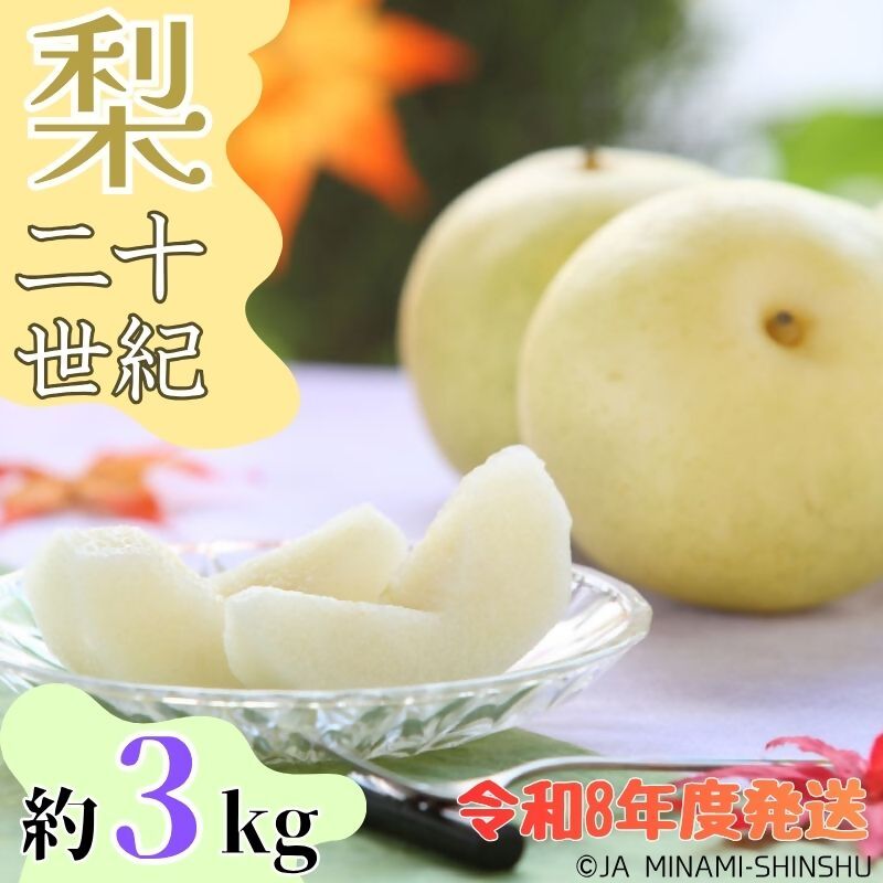 【南信州産】20世紀梨 太鼓判 約3kg　8玉～10玉 3kg