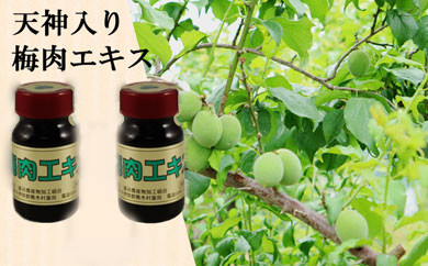 手づくりふる里の味　梅肉エキス