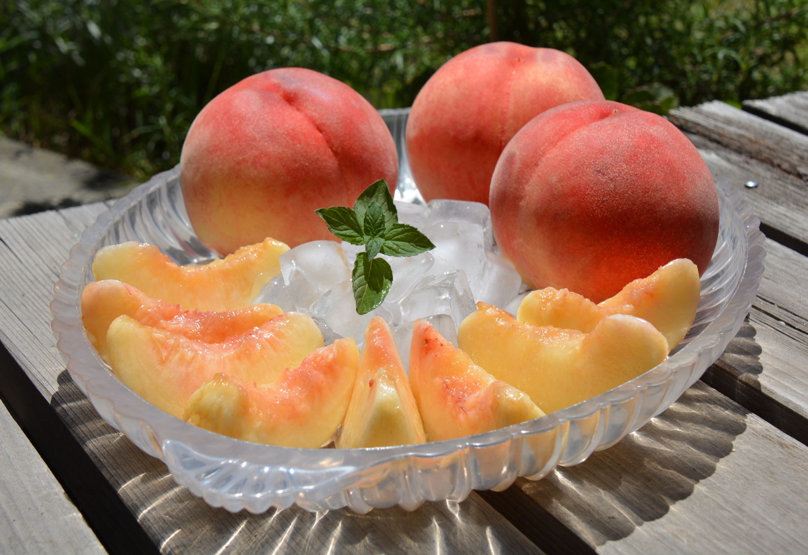 【2026年発送先行予約】桃　あかつき　約5kg　※2026年7月下旬～8月初旬発送予定※