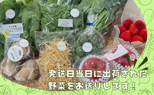 A-133【5品目以上】季節の野菜詰め合わせ