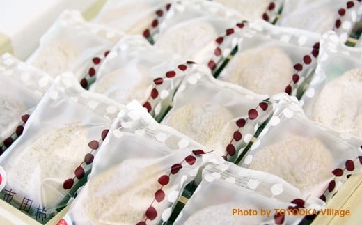 A-140 市田柿（桐箱）【個包装 20個】※2026年1月発送予定※＜先行予約受付中＞