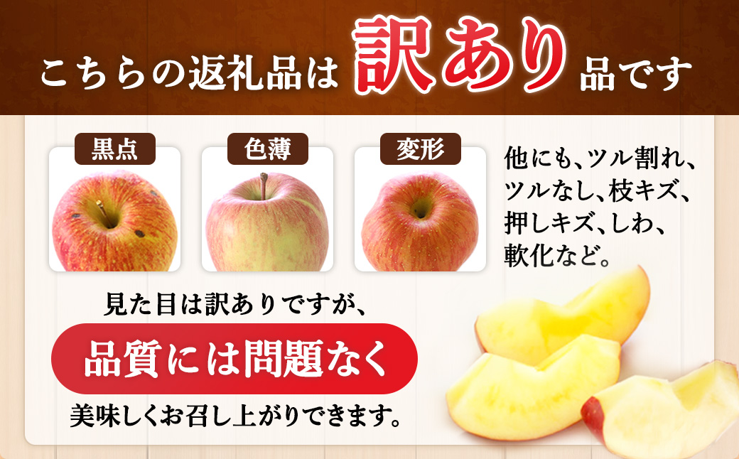 【先行予約】※訳あり※ りんご　サンふじ　約10kg　＜2027年1月上旬～2月上旬発送予定＞　リンゴ｜長野県産｜果物｜くだもの