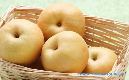 A-30 梨　南水　約5㎏【8～16玉】※2026年発送　先行予約分※