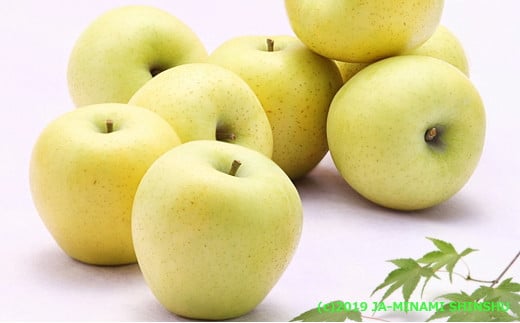 【2026年発送先行予約】りんご シナノゴールド 約5kg（10～20玉入り）※2026年10月中旬～11月上旬発送予定※