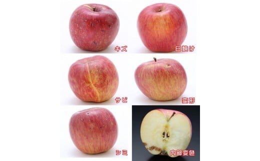 A-36 りんご サンふじ※訳あり品※ 約10kg【20～40玉】