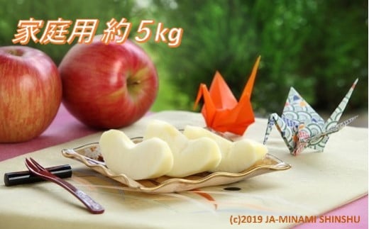【2026年発送先行予約】りんご サンつがる 約5kg（16～20玉入り）※ご家庭用※ ※2026年8月下旬～9月上旬発送予定※
