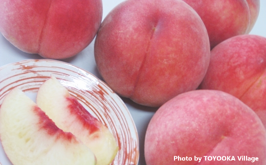 【2026年発送先行予約】桃　あかつき＜秀品＞ 約5kg【10～18玉】※2026年7月下旬～8月初旬発送予定※