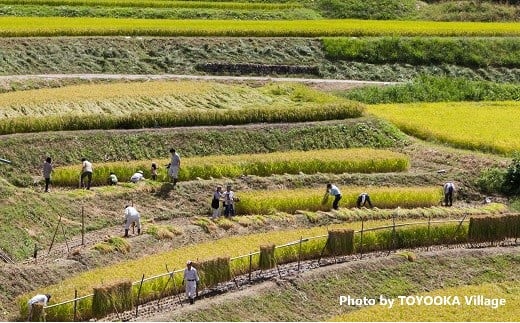 I-13【令和7年産】コシヒカリ 6kg（3kg×2袋） 南信州産｜単一米｜精米｜お米｜米