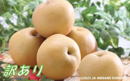 I-14 梨 豊水※訳あり品 ※ 約5kg【8～16玉】※2026年発送　先行予約分※