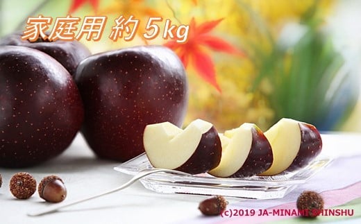 【2026年発送先行予約】りんご 秋映 約5kg（10～20玉入り）※家庭用※ ※2026年9月下旬～10月上旬発送予定※