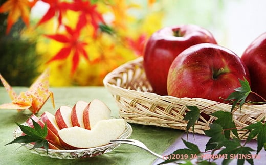 【2026年発送先行予約】りんご シナノスイート 約5kg（10～20玉入り）※ご家庭用※　※2026年10月発送予定※