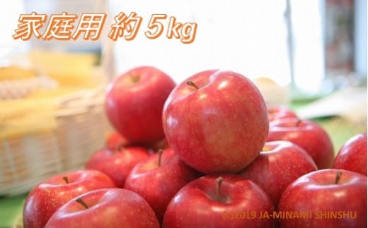 【2026年発送先行予約】りんご 陽光 約5㎏（10～18玉入り）※ご家庭用※ ※2026年10月発送予定※